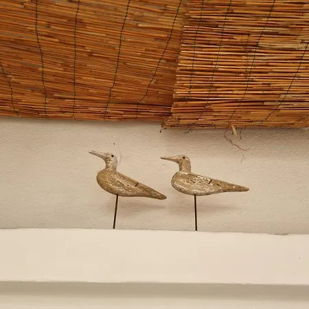 בית הארחה Lisa - La Quiete E Il Profumo Del Mare 3*