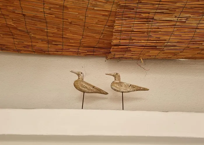 Guest house Lisa - La Quiete E Il Profumo Del Mare 3*